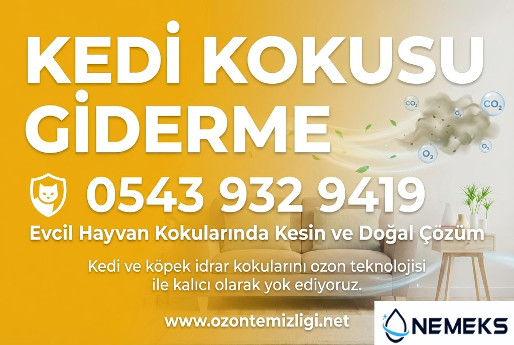 Kedi Kokusu Giderme